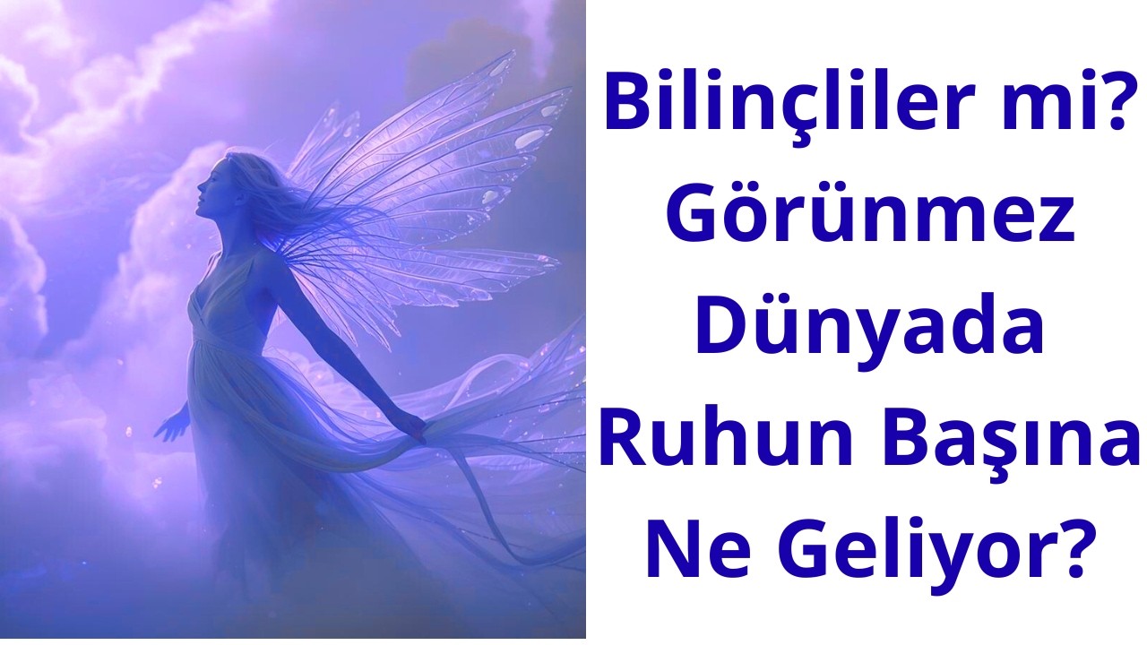 👁️ Bilinçliler mi? Görünmez Dünyada Ruhun Başına Ne Geliyor?