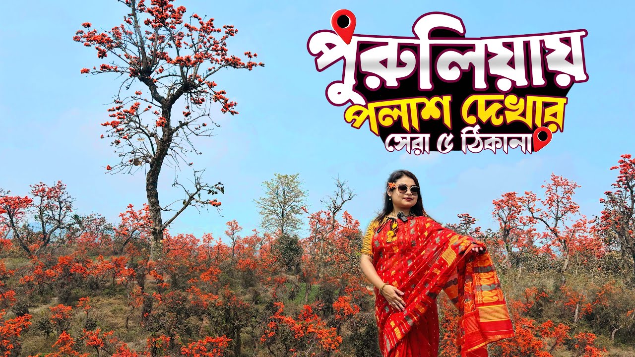 পলাশ দেখতে কোথায় যাবেন ? পুরুলিয়ায় পলাশ দেখার সেরা ৫ ঠিকানা | Purulia 2025