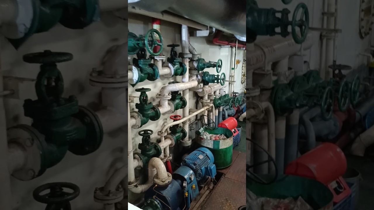 this is ship vlog blog