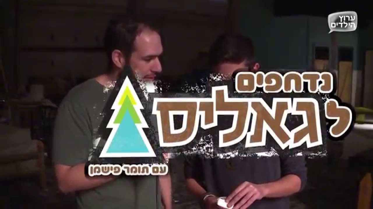 נדחפים לגאליס- תובל שפיר