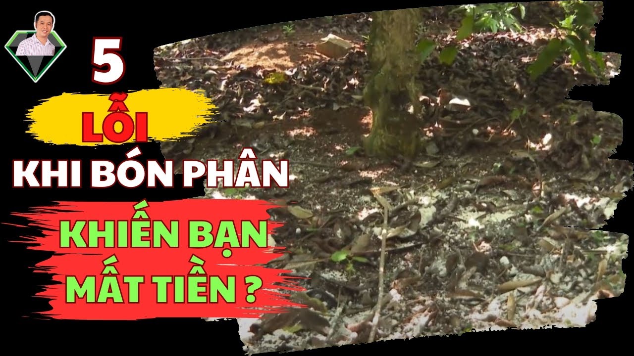 5 Lỗi, Sai Lầm Khi Bón Phân Khiến Bạn Mất Tiền Trong Canh Tác Cây Trồng | Lương Hồng Sơn