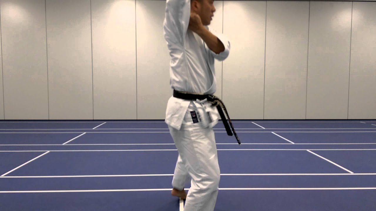 Ryan Hayashi - JKA Karate Instructor - HEIAN GODAN Kata