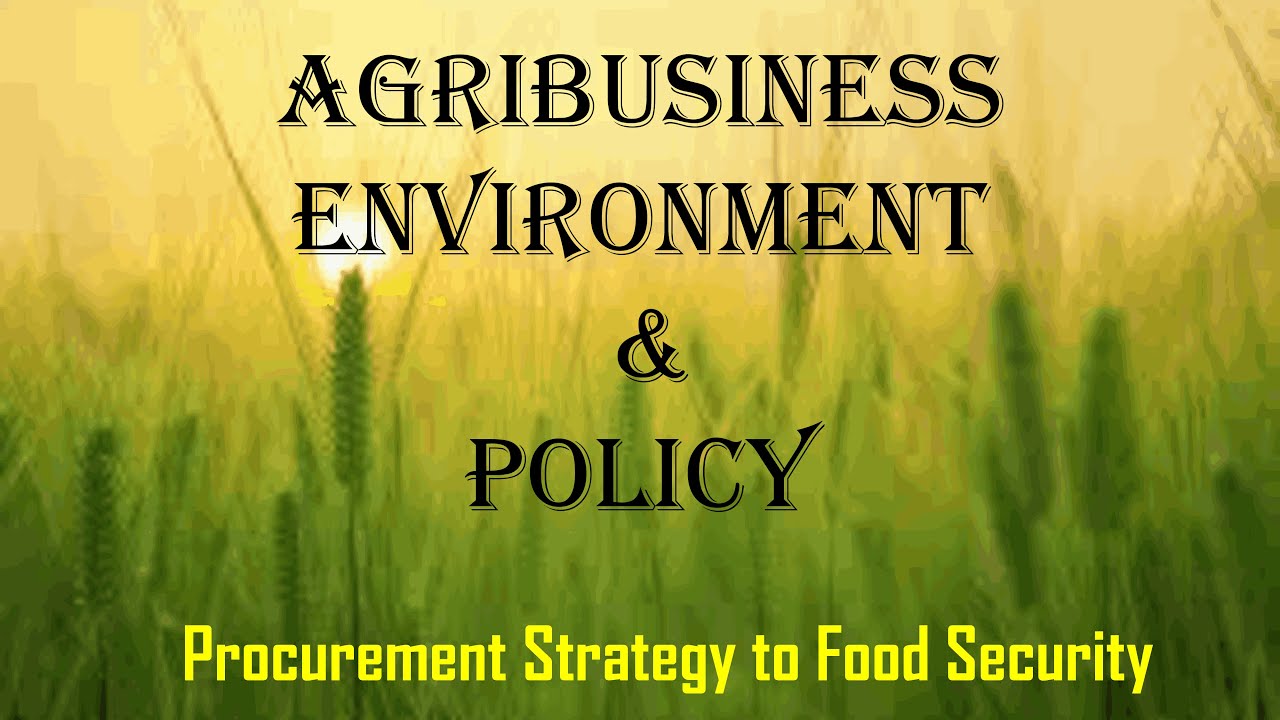 Procurement Strategy to Handle Food Security