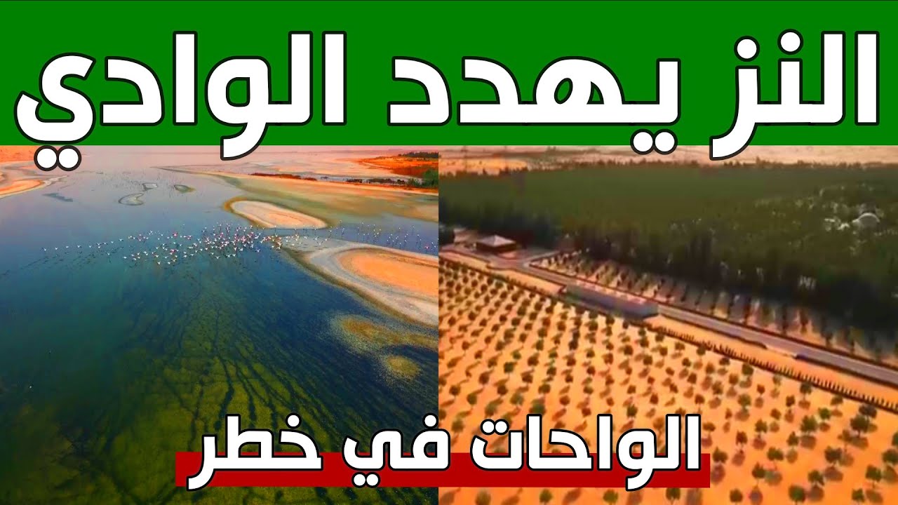 النز يتسلل الى الوادي بعد ورقلة.. ويهدد الواحات الجزائرية 2023