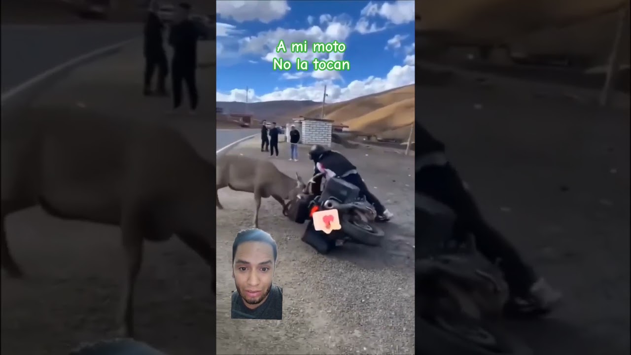 defendiendo tu moto #moto #defendiendo #venado #ataque