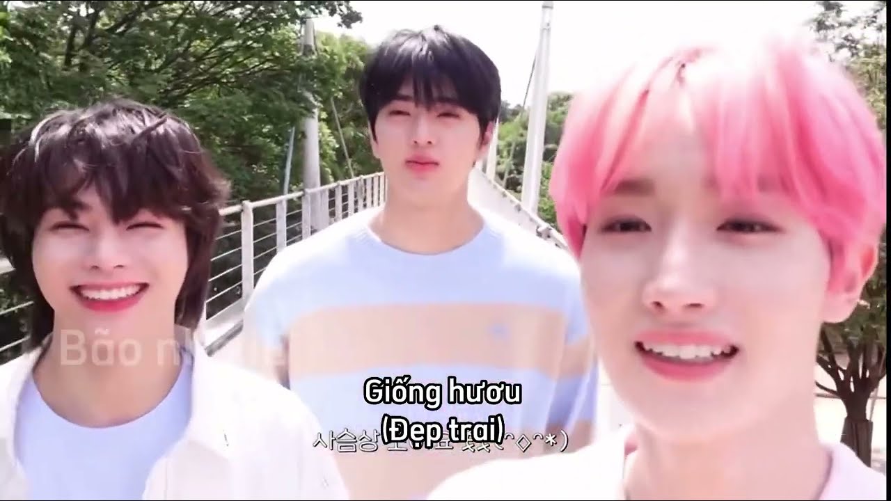 [vietsub(full)TEMPEST LOG] BỘ BA BÁO THỦ ĐI CHƠI 🌻🐶🐬