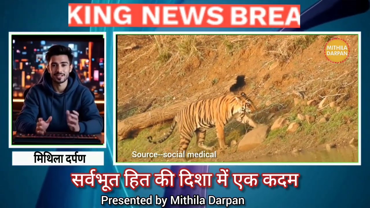 अनंत अंबानी को Global Humanitarian Award | वन्यजीव संरक्षण में वनतारा की वैश्विक पहचान l