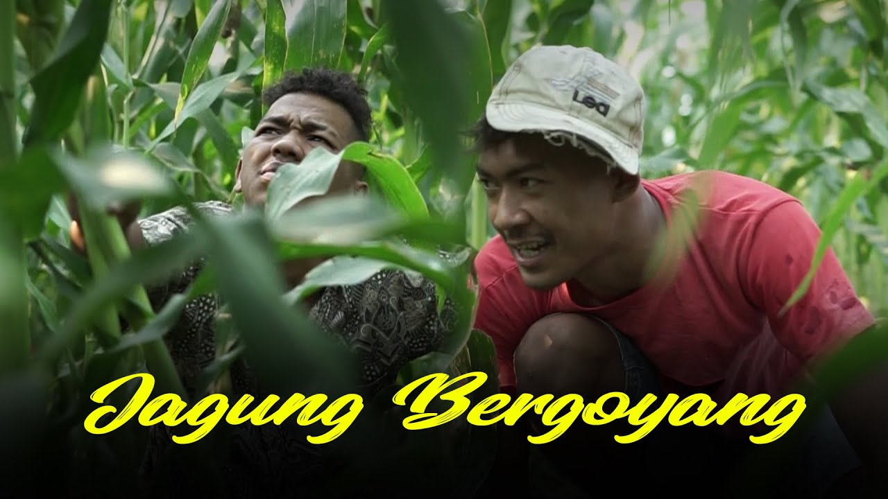 Jagung Bergoyang Potret Anak Desa Episode 9