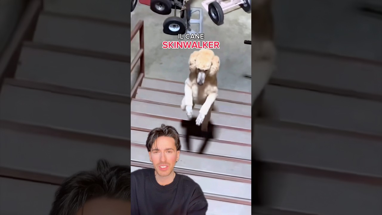 🐩 cosa &egrave; successo davvero a Max: il cane SKINWALKER?🦵 ISCRIVITI per aggiornamenti