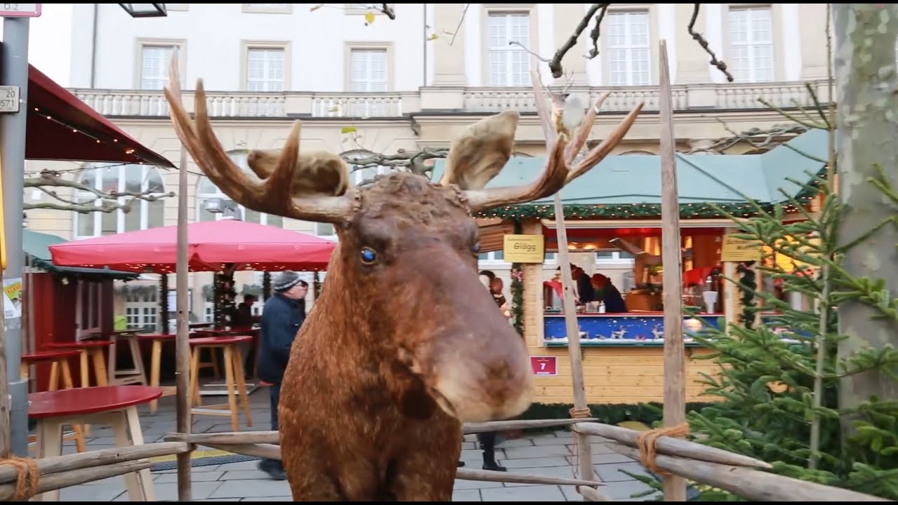 Weihnachtsmarkt in Kassel: Gang über den Königsplatz und Friedrichsplatz