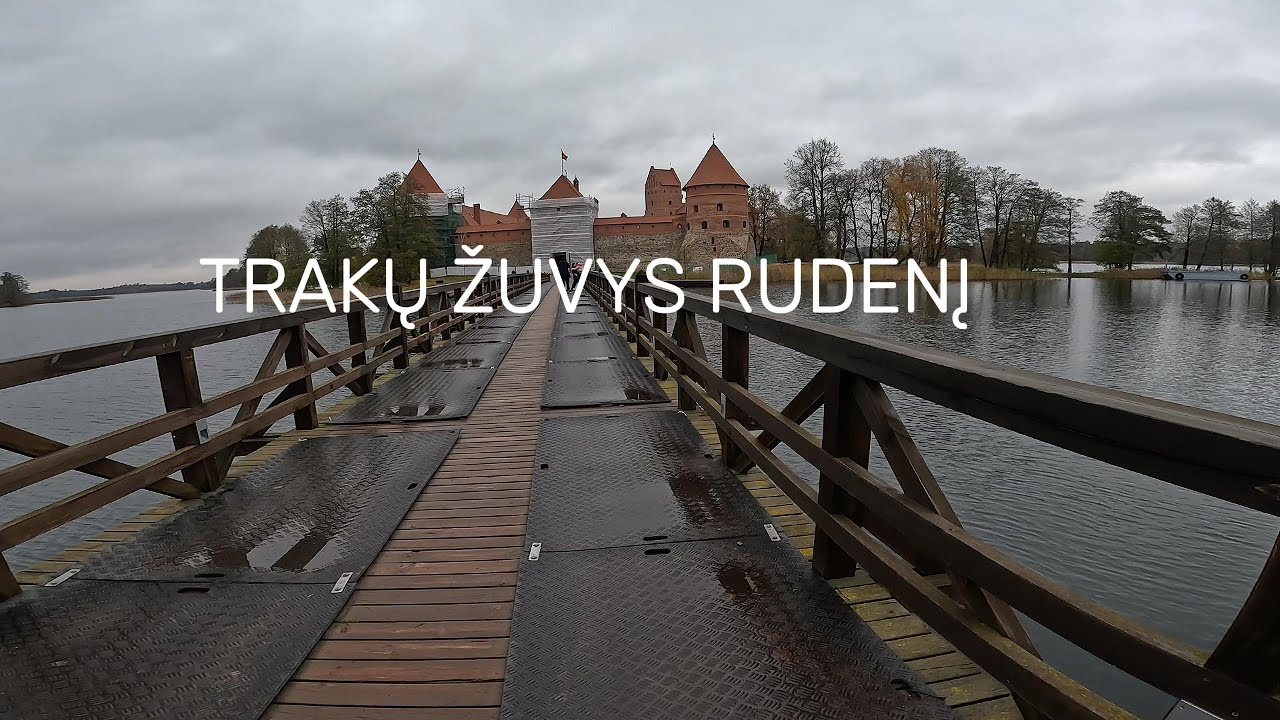 TRAKŲ ŽUVYS RUDENĮ