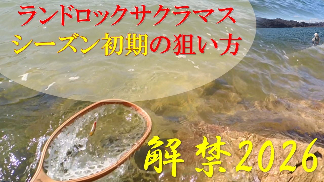 【ランドロックサクラマス・イワナ】それぞれの解禁日を満喫しよう