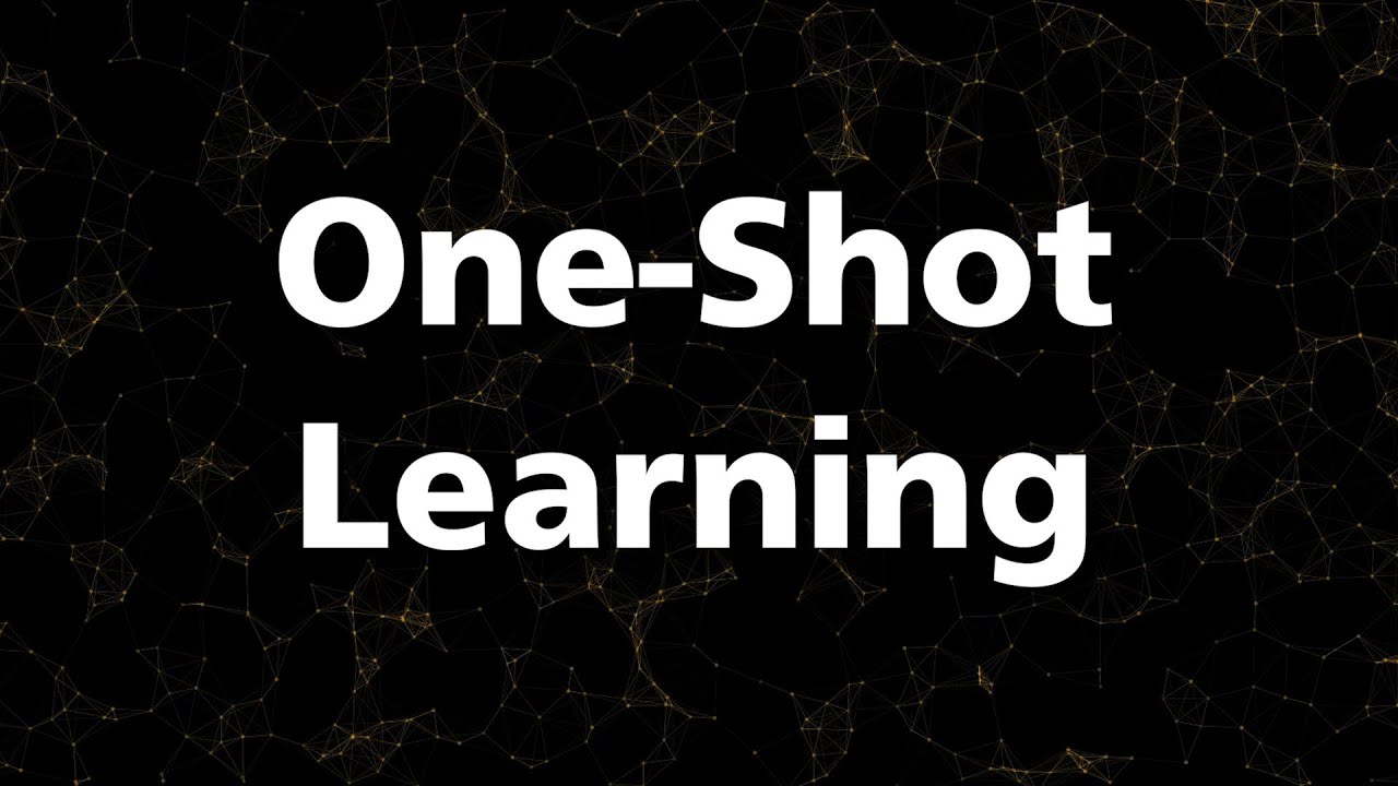 12. One-shot learning for teaching neural networks to classify objects never seen before
