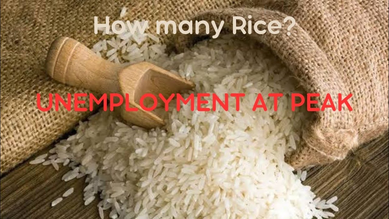 UNEMPLOYMENT AT PEAK level 😅👀