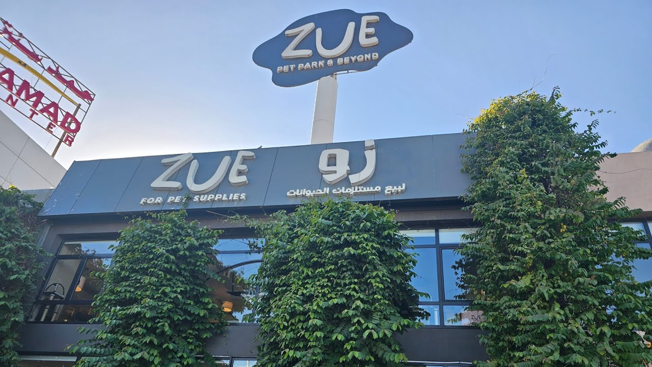 زيارتي لـ Zue