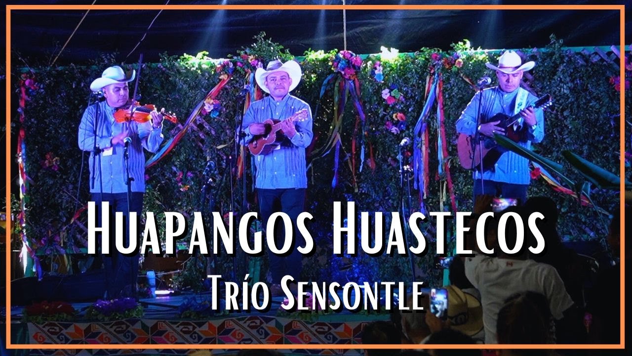 Trío Sensontle - El Gusto, El Pixcuhuil y El Zacamandú