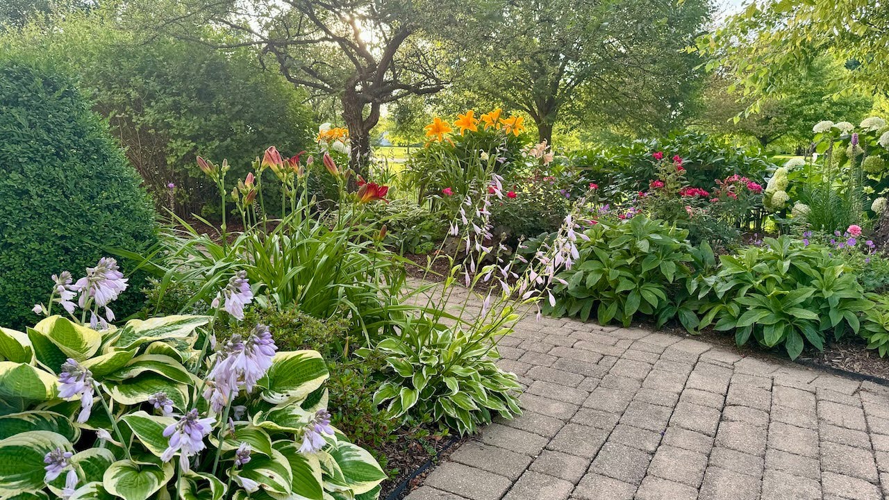 My Beautiful Four-Season Garden: Poetic and Picturesque! 2024 Garden Review