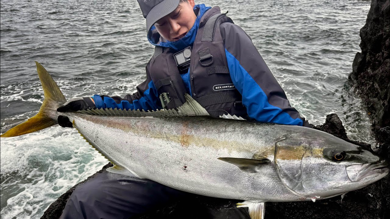 [ロックショア] 五島列島ヒラマサvs130cm/21kg