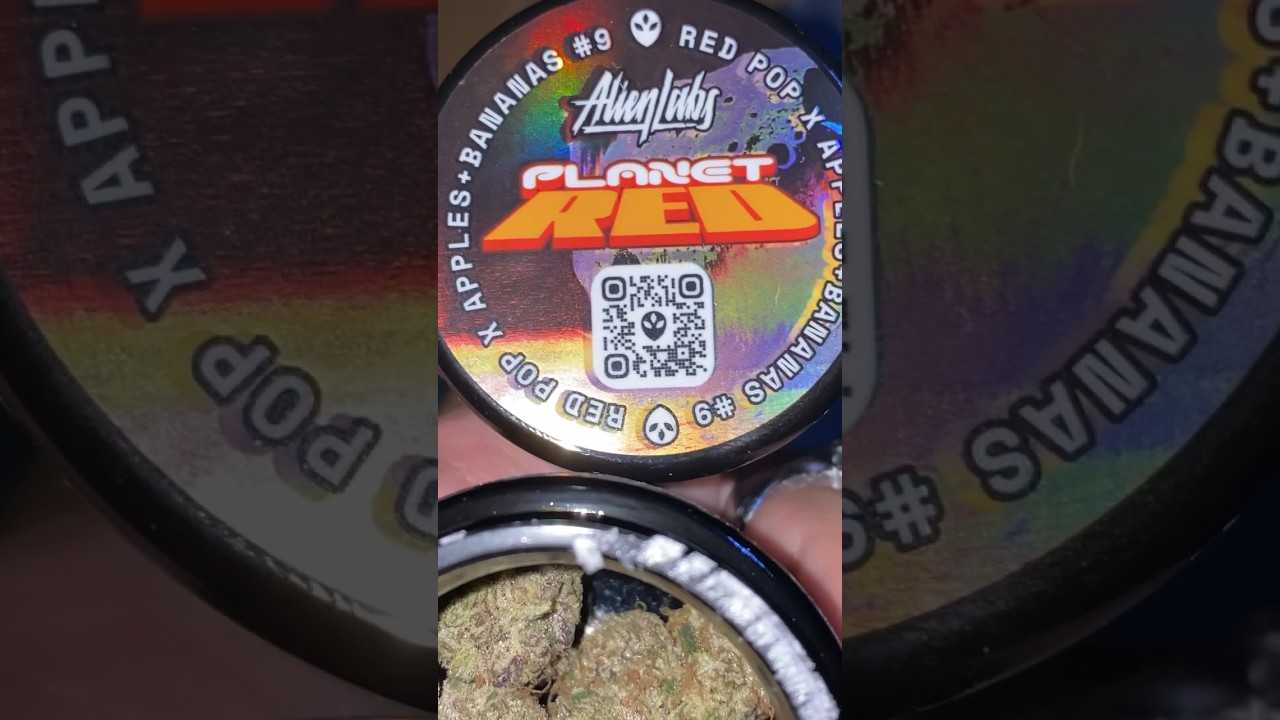 PLANET RED  BY ALIEN LABS #420 #alienlabs #planetred #planetredstrain #new2023 #cannabisgenetics 👽