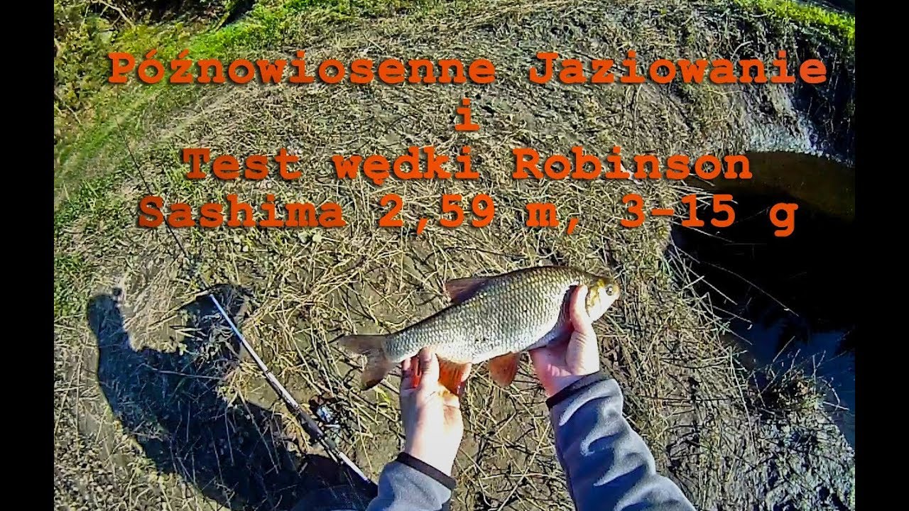 Sposób na Jazie i test wędki Robinson Sashima Trout Spin 2,59 m, 3-15 g, Ide Fishing