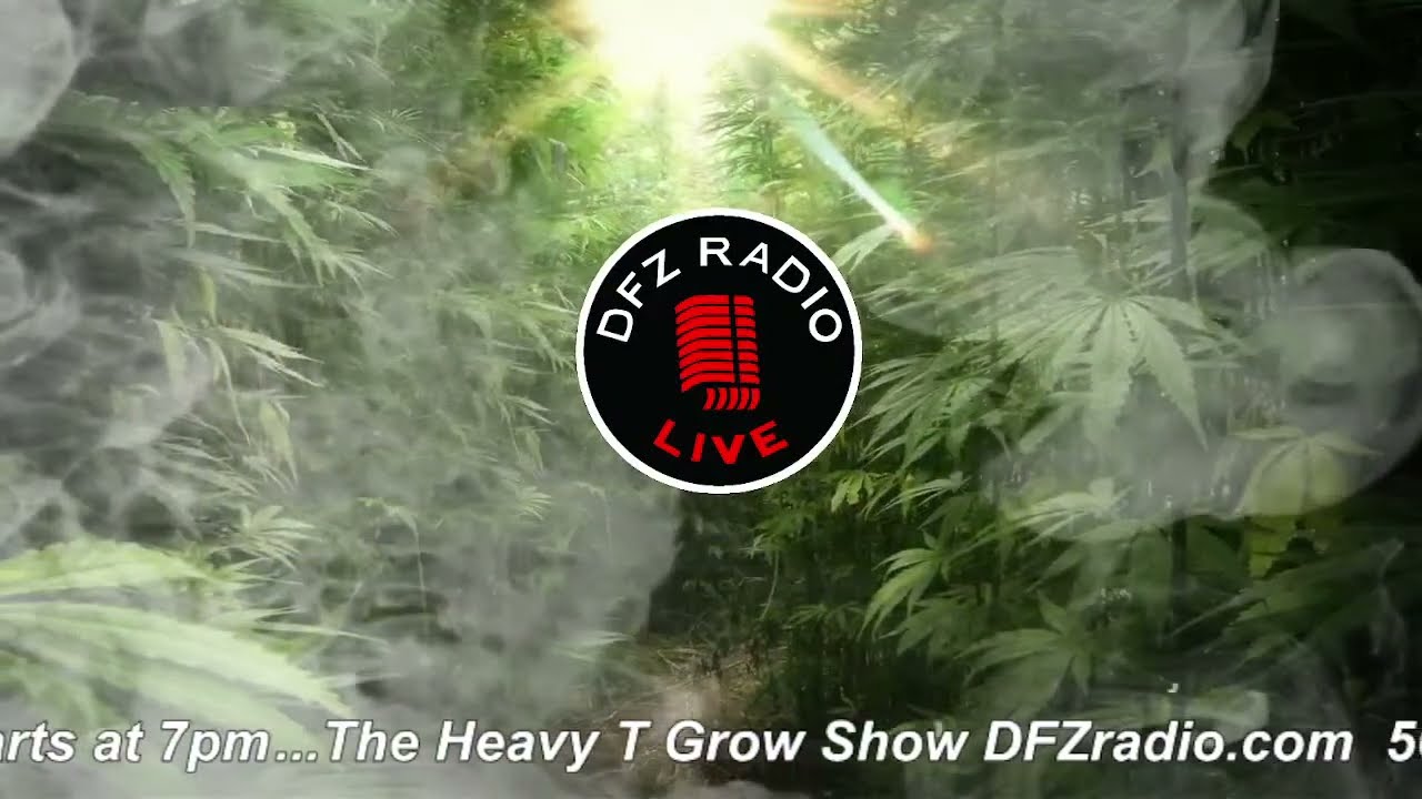The Heavy T Grow Show Live!!!