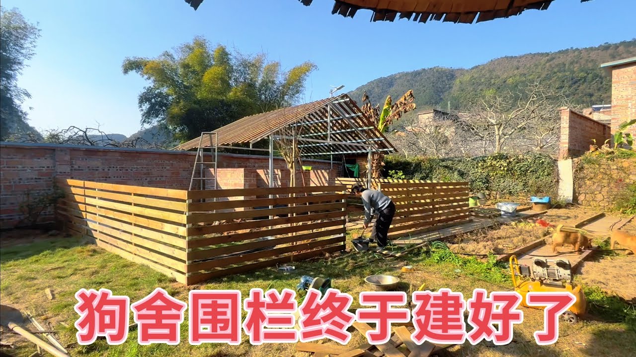 狗舍终于开始建围栏，5只狗狗要有新家了，如果臭宝还在就好了，她一定很喜欢