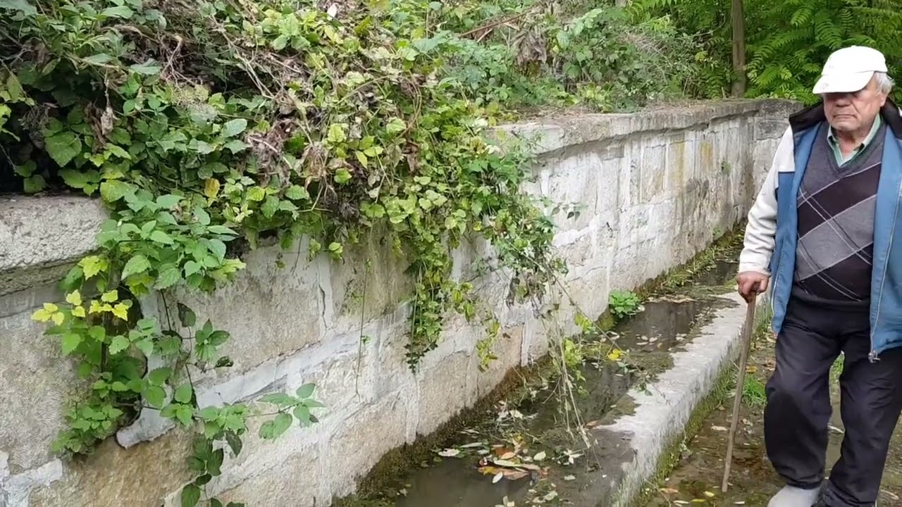 🍷⛲ЕДНА СЕДМИЦА С МЕН И БАЩА МИ/ ИЗТОЧВАМЕ ВИНО/РАЗХОДКА ДО ЕДНА ЧЕШМА/ИЗСУШАВАМЕ  ОРЕХИ⛲🍷
