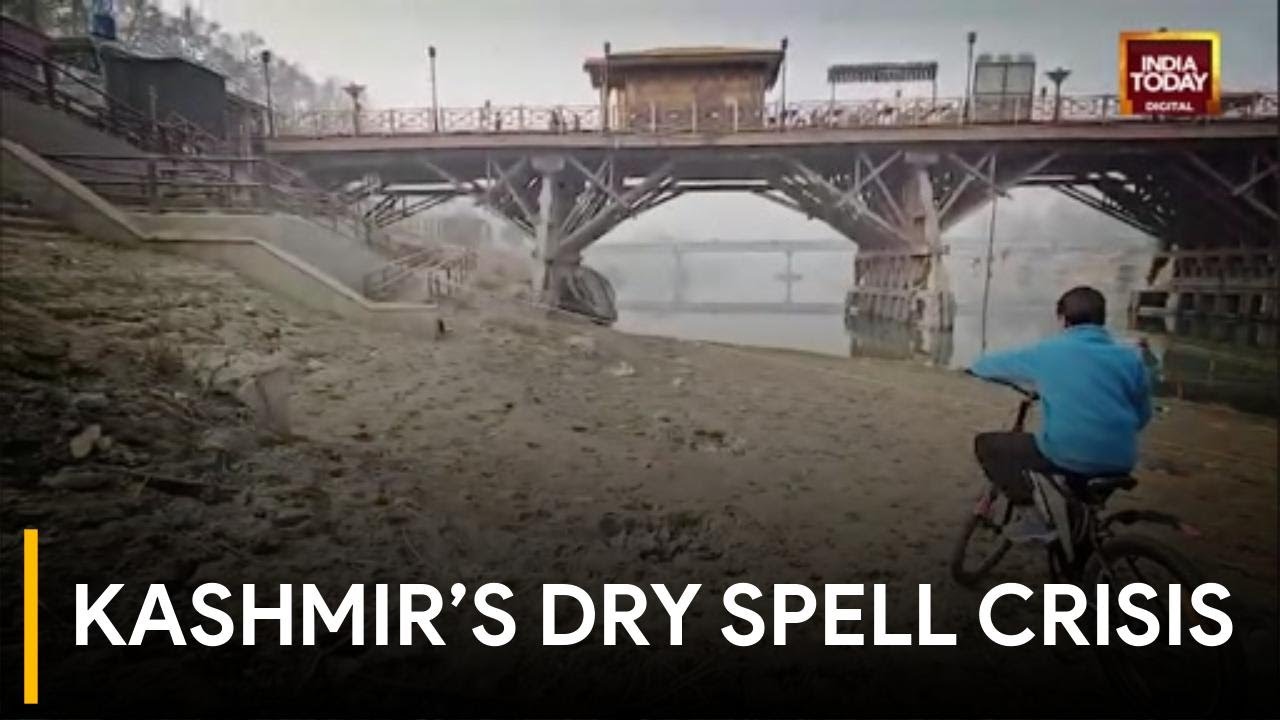 Kashmir Dry Spell: Jhelum Recedes, Marine Life & Power Generation Hit, Reports Mir Fareed