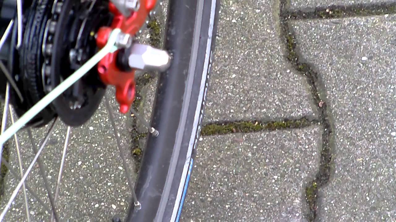 Cesur Shimano Alfine 11-Gang Nabenschaltung I Fahrrad I Fahrradladen I M&uuml;nster