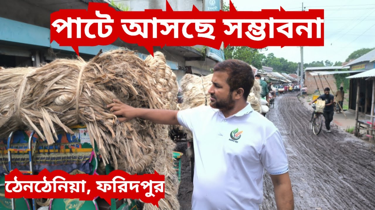 06/07/ 2025 আজকের বাজারে পাটের পাইকারি দাম | jute wholesale price today | Thanthania AGROBD Faridpur
