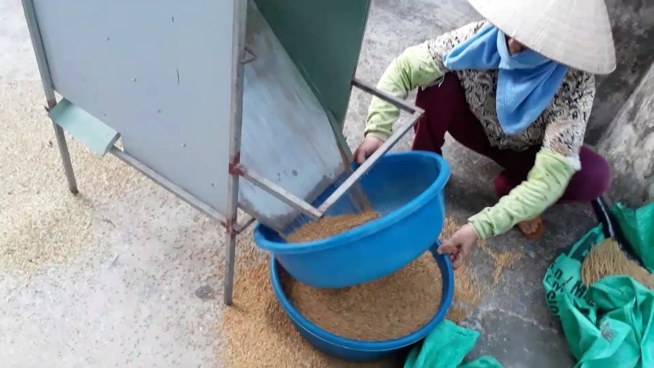Nguồn Gốc Của Chiếc Hòm Quạt Thóc - Thông Tin Giải Trí Việt
