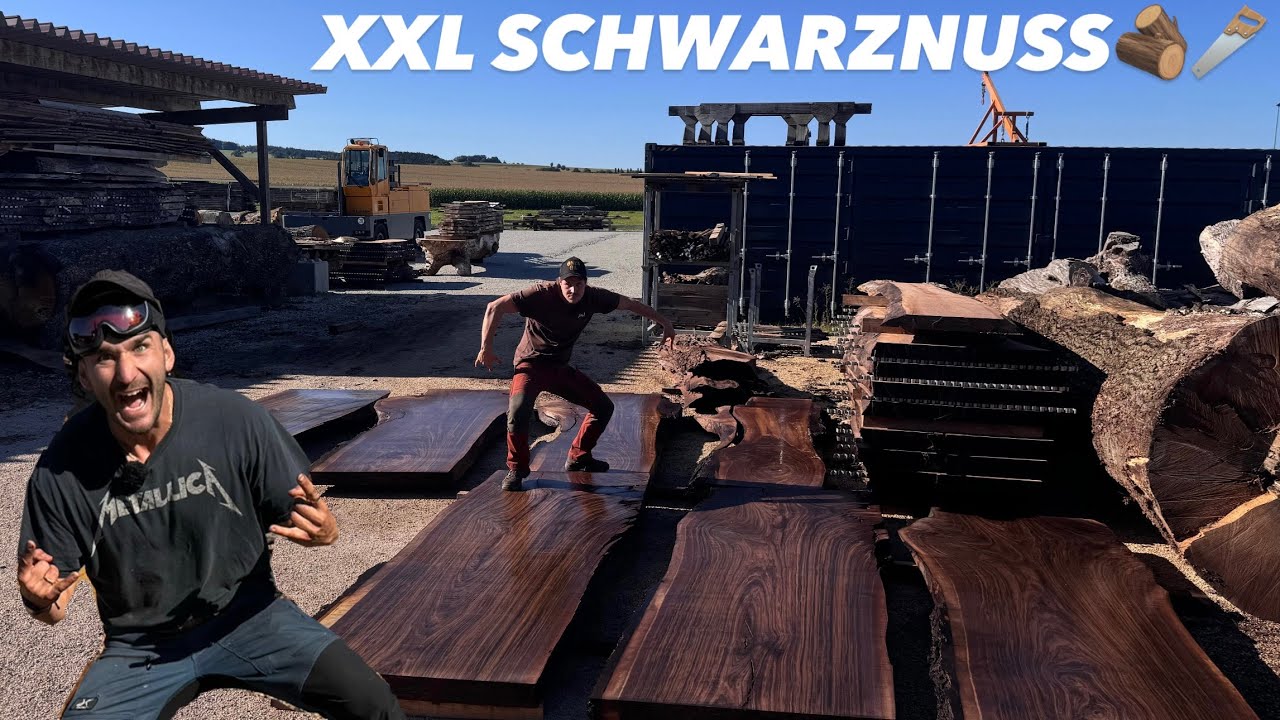 Seltene Schwarznuss im Sägewerk TEIl 1🪵🪚- Wir haben unfassbar viel Glück!!!! 