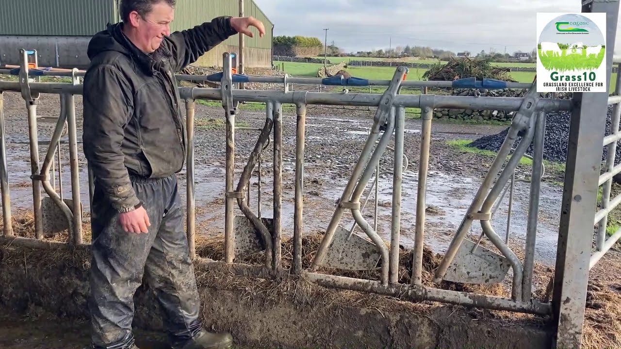 Tim Kelly - Early Grazing in Galway