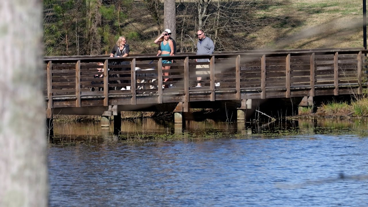 Lakes at Flowers Plantation [4K]  #claytonnc