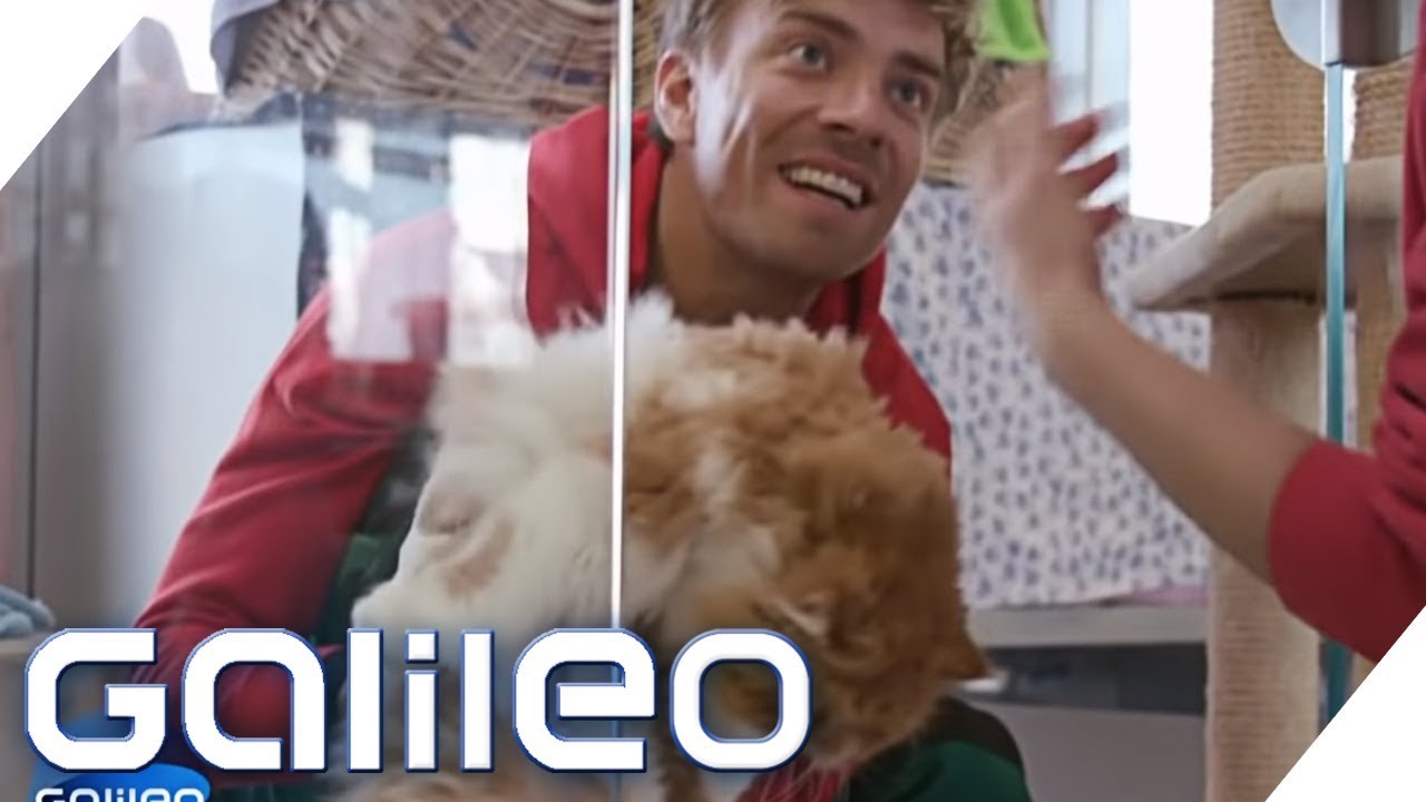 3 Tage als Tierpfleger im größten Tierheim Deutschlands | Galileo | ProSieben