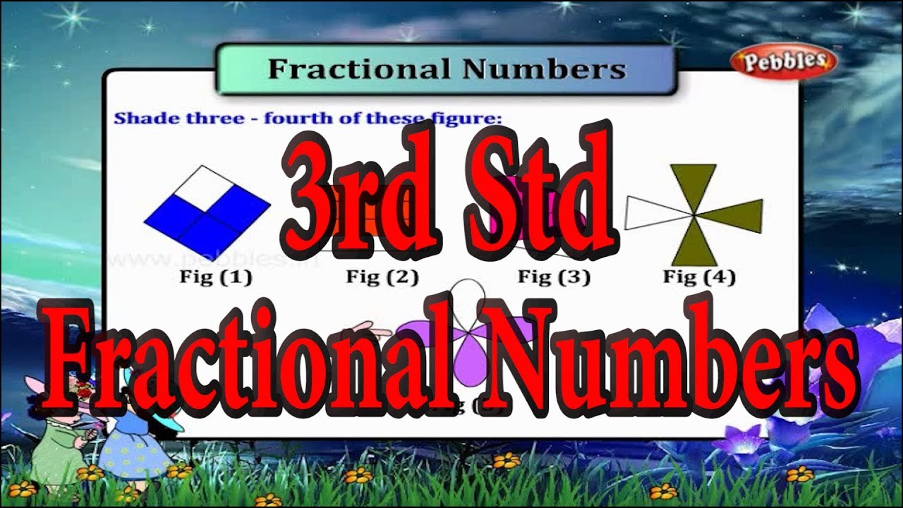 Fractional Numbers  || 3th std Maths Syllabus ||  Exercises and Activities || Learn Maths for Kids