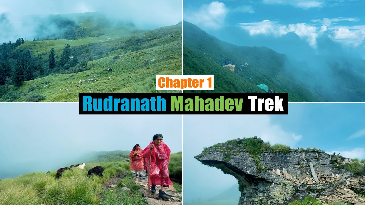 Meadows of Rudranath Mahadev: Chapter 1 | Sagar Village to Rudranath (22 Kilometers)