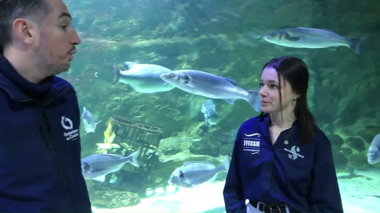 plongeur en aquarium