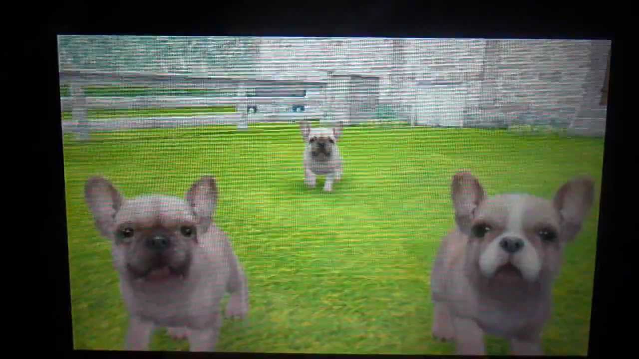 Nintendogs+cats: Le chenil P2