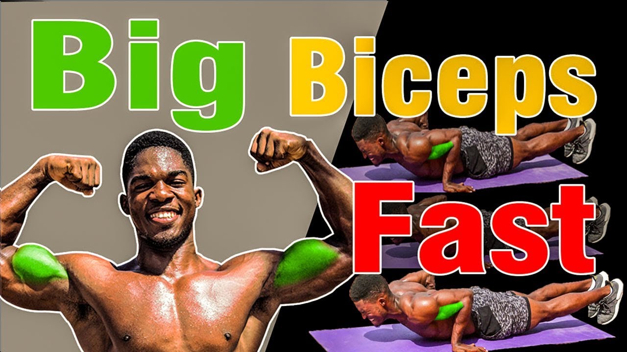 No GYM 8 min. Biceps Workout at HOME (Follow Along)
