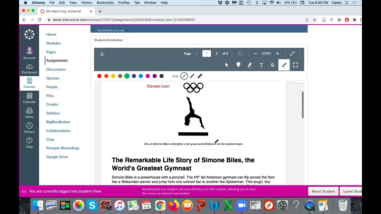 Student Annotation in Canvas