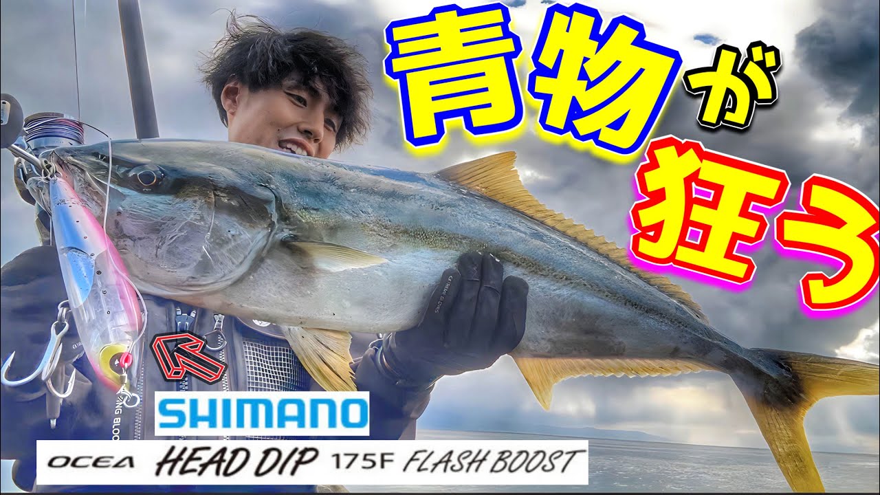 【青物】このルアーは餌です。SHIMANO ヘッドディップ