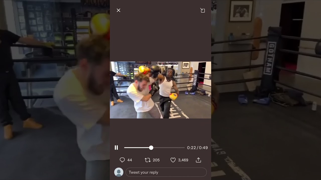 Lil uzi vert and adin ross fight