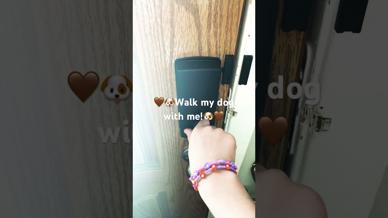 Walk my dog with me!🐶🤎 #preppy #preppyfyp #dog #walk