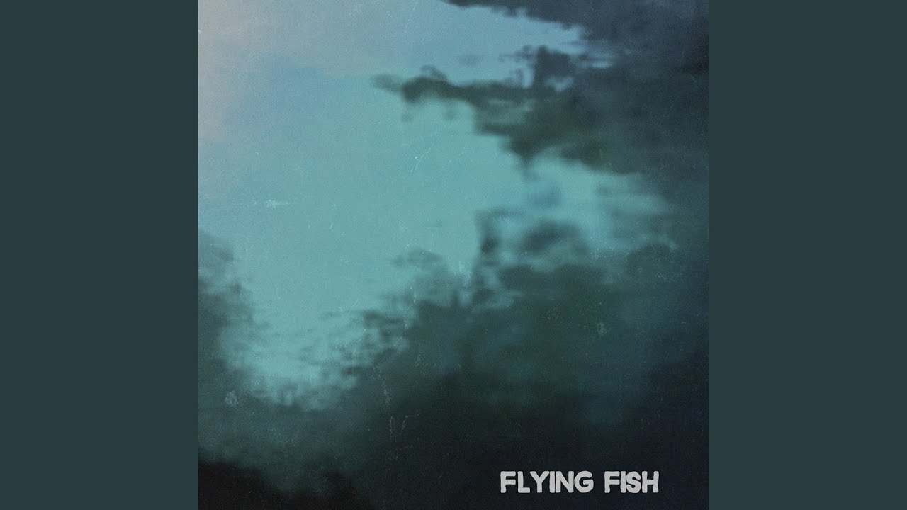 Flew