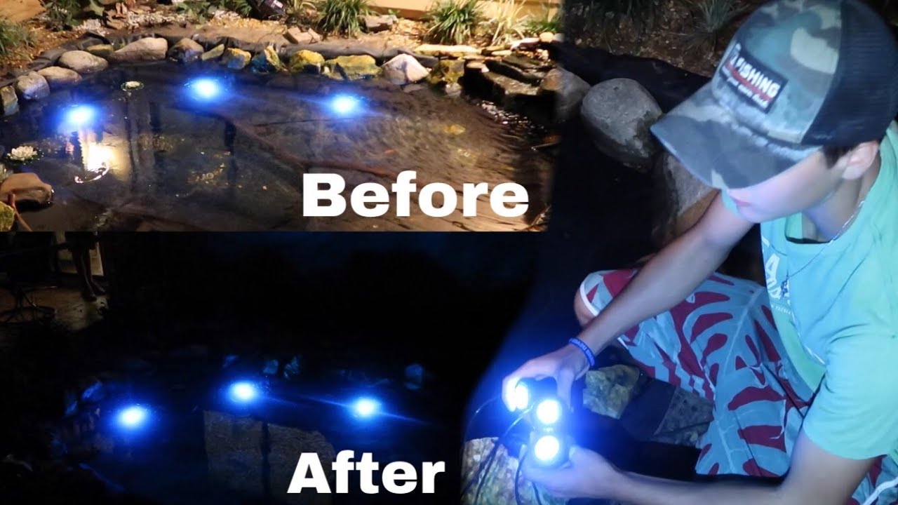 UNDERWATER LED LIGHTING!