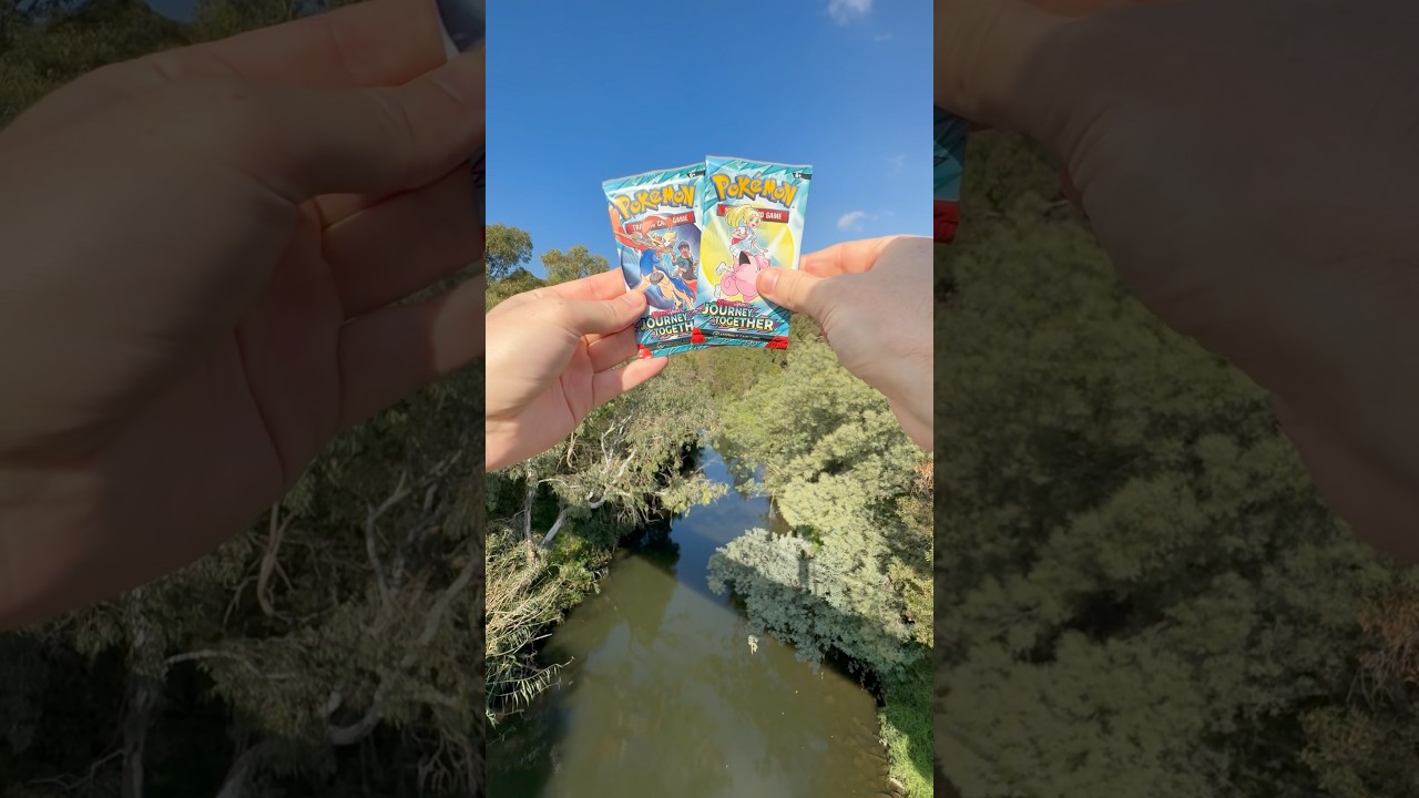 Scenic cards - bridge over a creek #pokemon #packopenning #nature #pokemoncards #relaxing