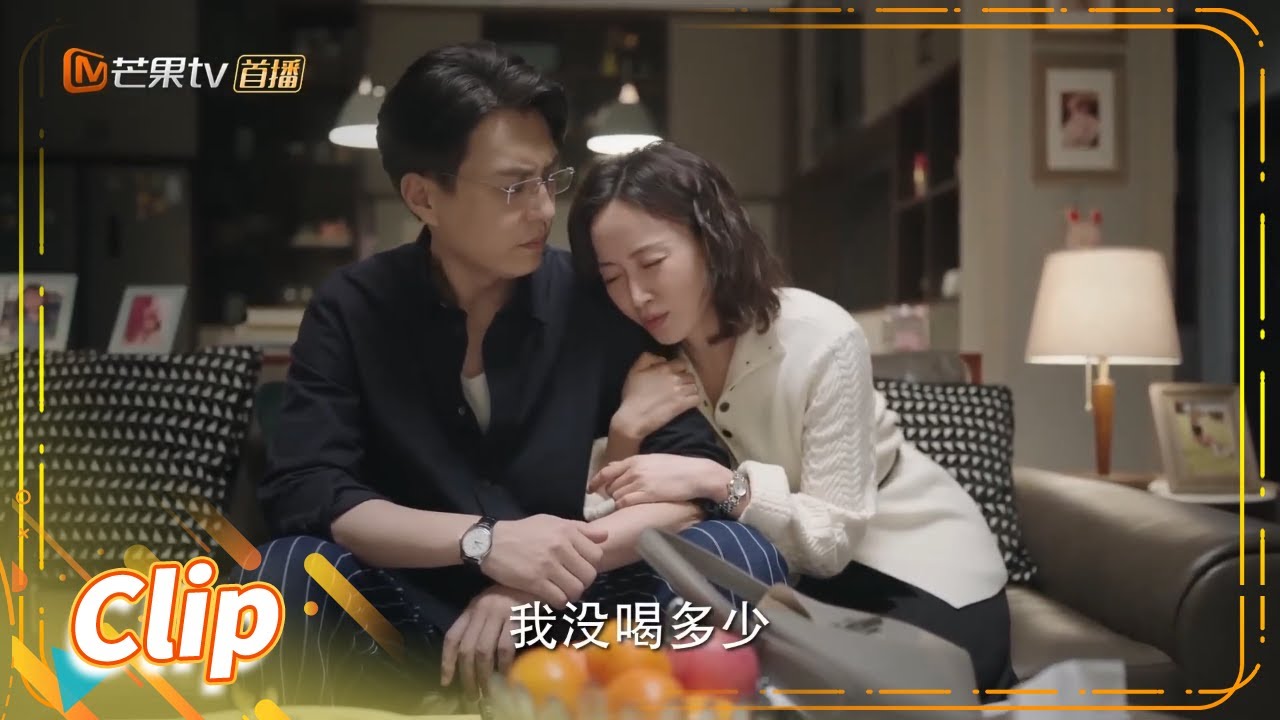 老婆喝的烂醉，靳东大发雷霆《底线 Draw the Line》【芒果TV季风频道】