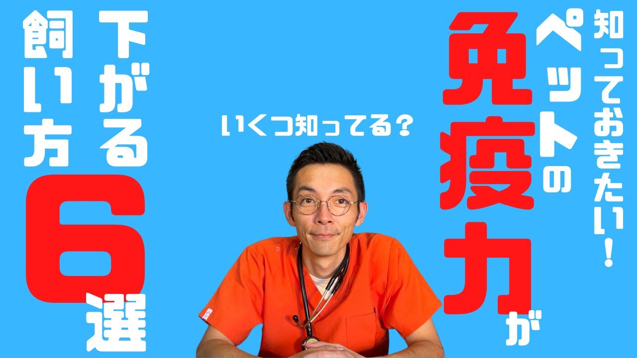 知っておきたい！免疫力を下げる飼い方６選