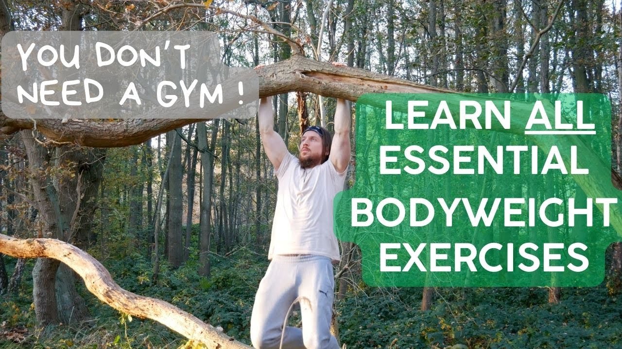 The Most Important Bodyweight Exercises & Progressions